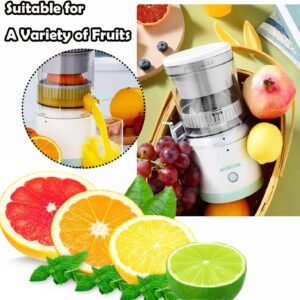 Electric Fruit Juicer Easy Clean